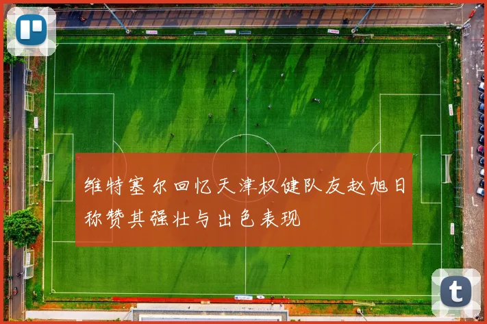 维特塞尔回忆天津权健队友赵旭日称赞其强壮与出色表现