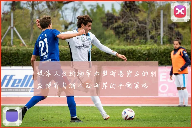 媒体人分析杨希加盟海港背后的利益博弈与浙江西海岸的平衡策略