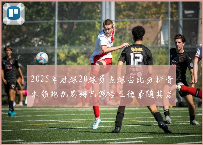 2025年进球20球员点球占比分析青木领跑凯恩姆巴佩哈兰德紧随其后